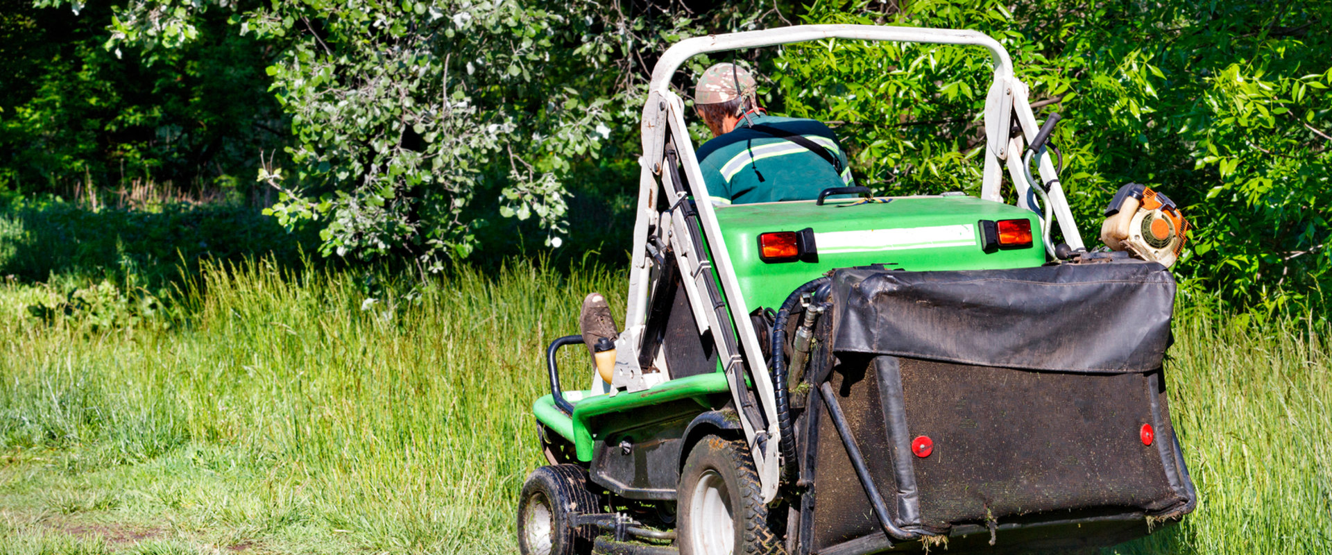 Why Regular Lawn Servicing Is Crucial For Preventing Tree Diseases In Northern VA