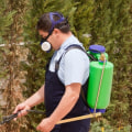 The Importance Of Pest Control For Preventing Tree Diseases In Forney, TX