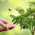 How Tree Services In Pembroke Pines, FL Combat Tree Diseases