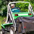 Why Regular Lawn Servicing Is Crucial For Preventing Tree Diseases In Northern VA