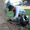 Emerald Ash Borer Invasion: Battling Tree Diseases Threatening Groveland's Green Ash Trees