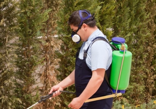 The Importance Of Pest Control For Preventing Tree Diseases In Forney, TX