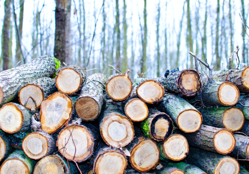 The Importance Of Tree Trimming Or Removal In Ellisville: Preventing The Spread Of Tree Diseases