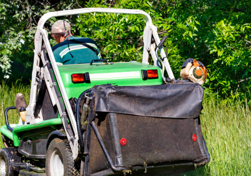 Why Regular Lawn Servicing Is Crucial For Preventing Tree Diseases In Northern VA