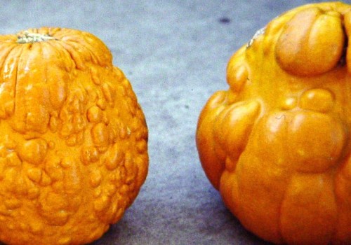 What diseases can humans get from plants?
