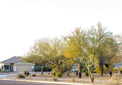 Unveiling The Silent Threat: Common Tree Diseases In Scottsdale, AZ, And How Tree Care Services Can Help